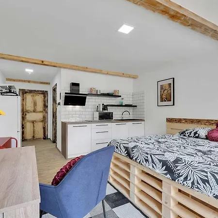 Comfortable Studio In The Ore Mountains
