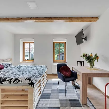 Comfortable Studio In The Ore Mountains Loučná pod Klínovcem
